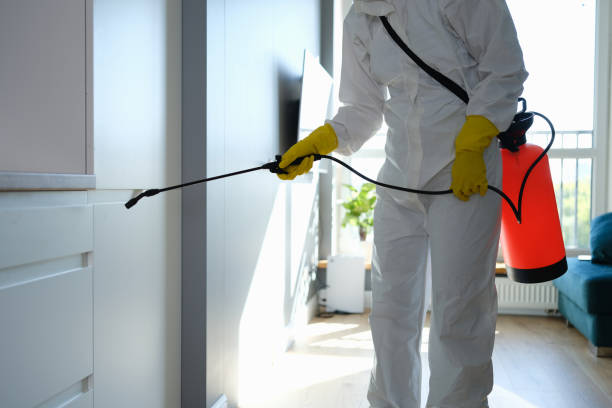 Best Crawl Space Mold Removal  in Alderwood Manor, WA