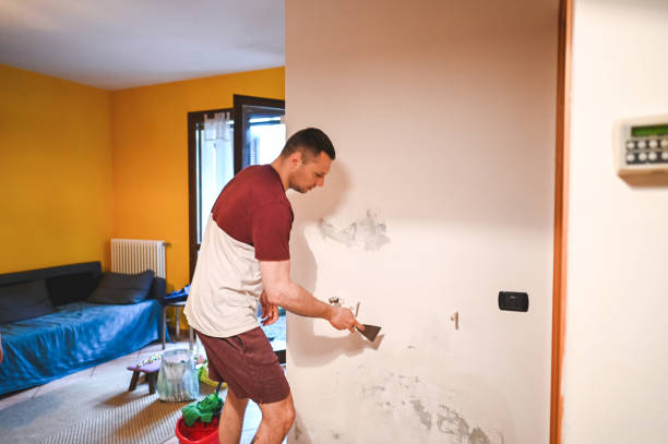Best Mold Removal Near Me  in Alderwood Manor, WA
